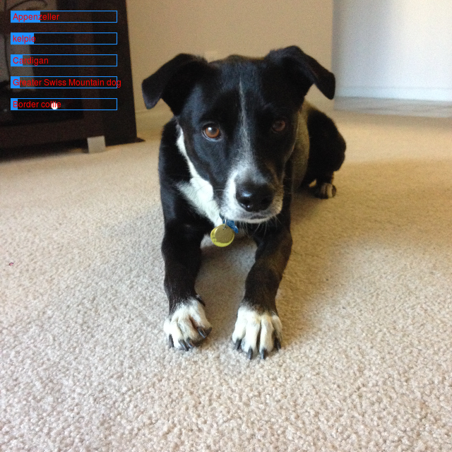 dont-be-too-cute-dex